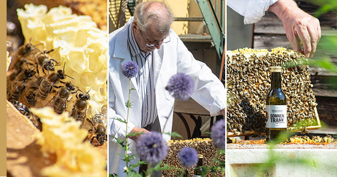 Imker stellt Honig her